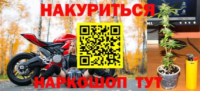 spice Бийск