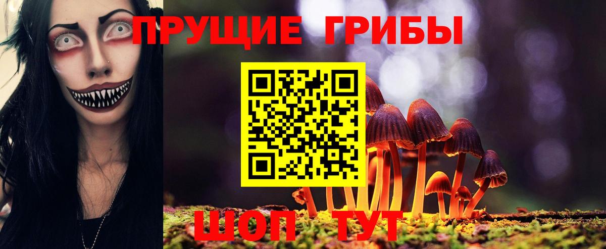 Галлюциногенные грибы Psilocybine cubensis  Вход с VPN  Псилоцибиновые грибы Cubensis  Екатеринбург 