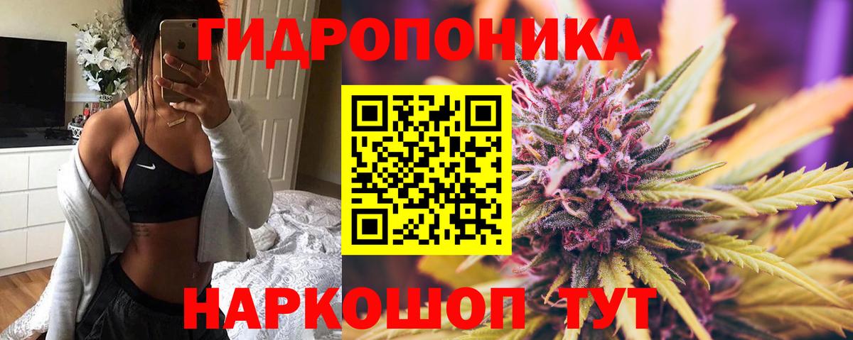 Шишки марихуана MAZAR Екатеринбург